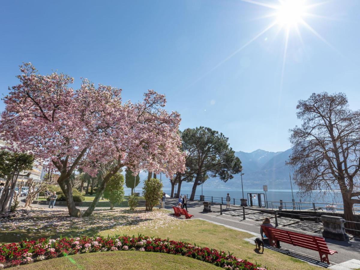 Classic-15 By Interhome Ascona